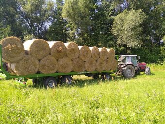 Poľnohospodárske služby, Agroslužby, Lesnícke služby - 11