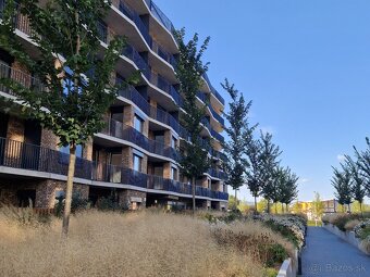 Útulný 1-izbový byt - Fialová ul., Slnečnice - 11