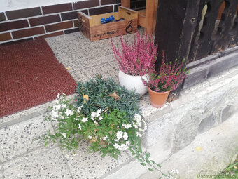 Chalupa dom na bývanie Staré Hory Banská Bystrica - 11