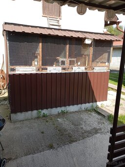 Ruším chov - 11