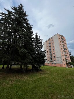 1-izbový byt na prenájom, Zvolen - 11