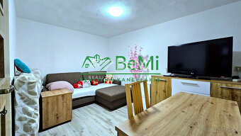 INVESTIČNÁ BUDOVA PRI MAĎARSKÝCH HRANICIACH - NA PREDAJ - 11