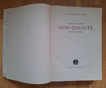 Domyselny rytier Don Quijote de la Mancha - 11