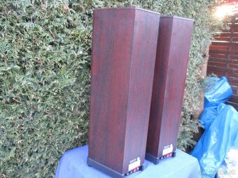 Tanoy 633 Rosewood D30 - 11