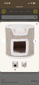 Predám Britských krátkosrstých kocúrikov - 11