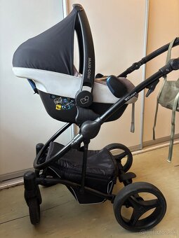 Kocik Bebetto Torino - 11