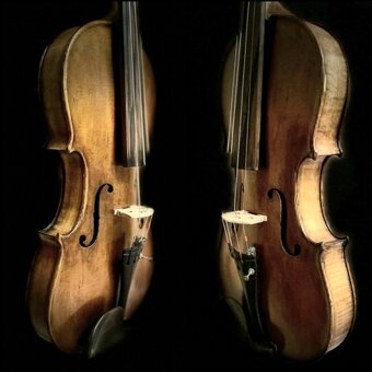 Husle 4/4 staré Amati - 11