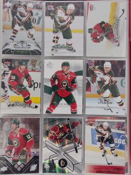Hokejové kartičky Minnesota Wild - 11