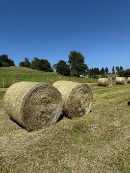 Ponúkam na predaj seno - 11