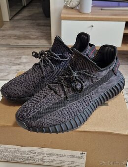 Yeezy Boost 350 - 11