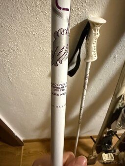 Lyže, lyžiarky, palice - 11