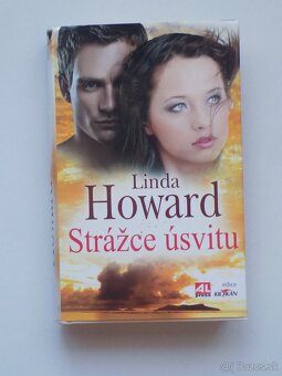 Detektívky- Dan Brown,Linda Howard,Sandra Brown  a iný - 11
