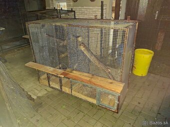 Voliery 6ks - 11