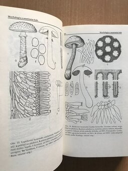 5 x literatura o hubach - 11