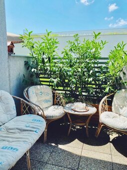 Prenájom 2-izbový byt, Staré Grunty, BA, Karlova Ves. - 11