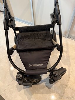 Predam kocik Camarelo - 11