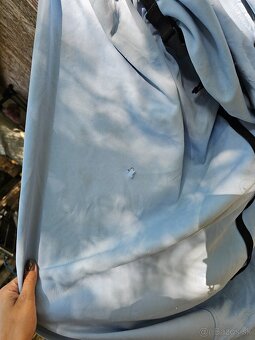 Shetty/Pony - 11