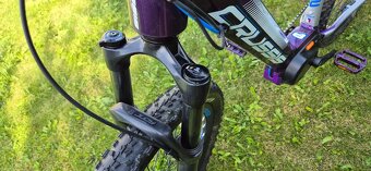 Predam elektrobike Cussis Fiona 8.6 17" - 11