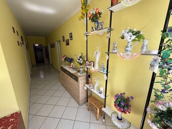 Exkluzívne APEX reality 4i. RD v Rišňovciach, 3270 m2 poz., - 11
