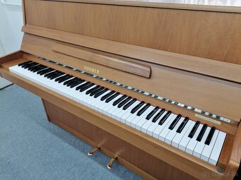 Hohner Piano pre viacero generácie - 11