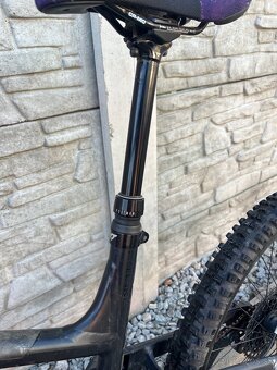 Predam YT capra 2023 - 11