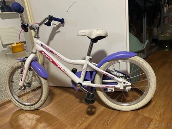 Decky bicykel Harry - 11