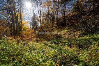 PREDAJ: Tajuplná záhrada s jazierkom a banským potôčikom, 19 - 11