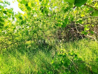 NEOBRÁBANÝ POZEMOK,RAČA-KNIŽKOVA DOLINA,3381m2 - 11