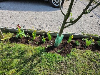 Predám 2 chatky - 11