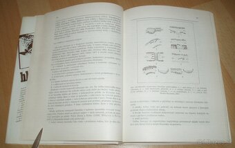 Hlavátka - 11