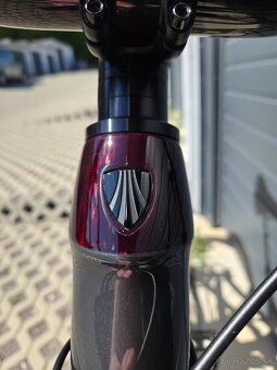 TREK Slash 9.8 XT Gen 5 Lithium Grey XL - 11