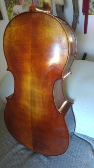 Violončelo - 11