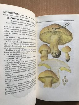 5 x literatura o hubach - 11