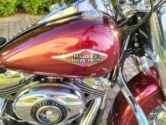 Harley Davidson Heritage  Softail - 11