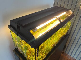 Predám kompletne zariadené 100 litrové akvárium - 11