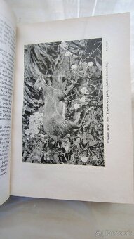 Daneš-Domin Dvojím rájem 1+2 AUTOGRAM autora - 11