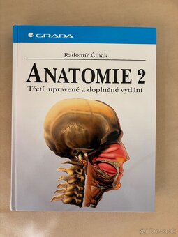 Anatomia Čihák 1,2 - 11