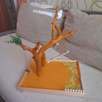 Papagáje, stromobidlá, strom pre papagáje - 11