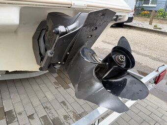 Wellcraft Excel 21SL + príves - 11