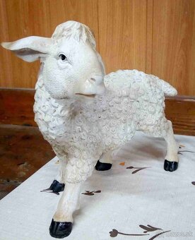 predám Betlehém - 11