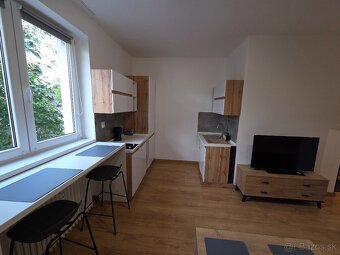 Novozrekonštrovaná Garzonka-Centrum-Ces.Pri Nemocnic - 11