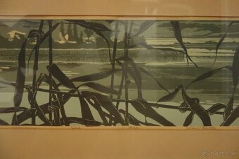 Obraz - Botanský - návrat - 11