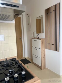 PETFRIENDLY 1-izbový byt so záhradkou (Biely Kostol) - 11