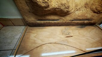 ✅ Terárium 114x71x45 s 3D stenou - 11