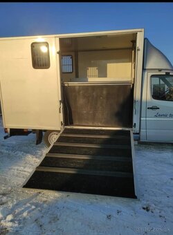 Mercedes prepravnik na kone - 11