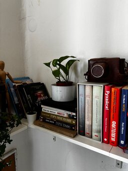 Predávam rastliny s kvetinacmi všetko po 8 eur - 11