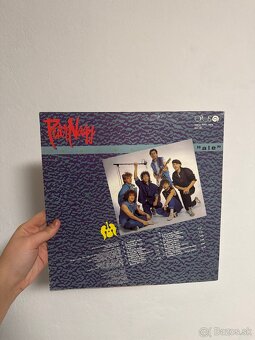 Gramofónové platne Slovenské - 11