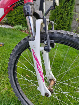 Detský bicykel CTM Willy 2.0 - 11
