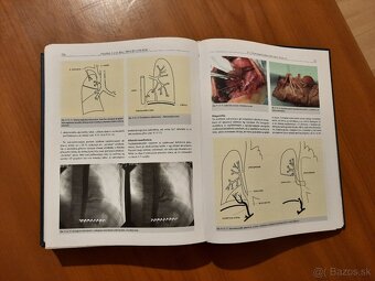 Princípy chirurgie I – III + Detská chirurgia (KOMPLET) - 11