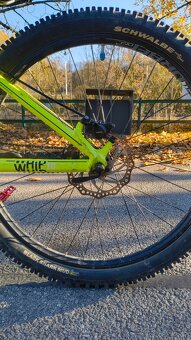 Kellys whip 10 2018 - 11